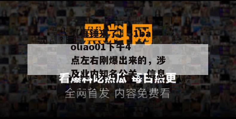 【真锤来了】51baoliao01下午4点左右刚爆出来的，涉及业内知名公关，信息量巨大！